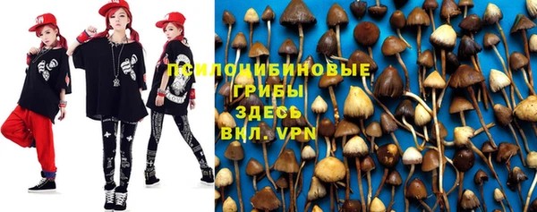 apvp Новодвинск