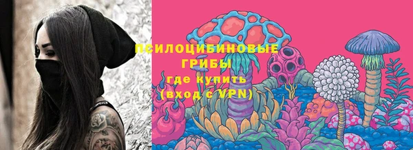 гашик Нефтекумск