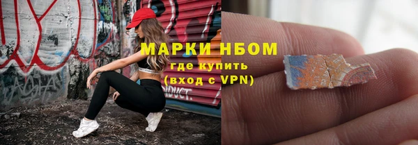 индика Нефтегорск