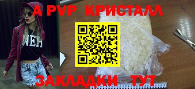 дмт Аргун