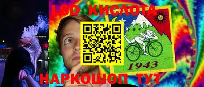дмт Аргун