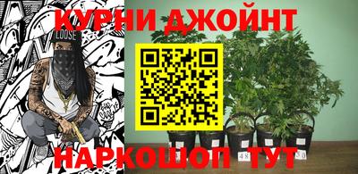 дмт Аргун