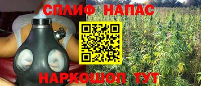 прущие грибы Апрелевка