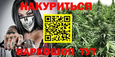 дмт Аргун