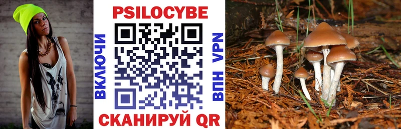 сколько стоит  Барнаул  Псилоцибиновые грибы мицелий 